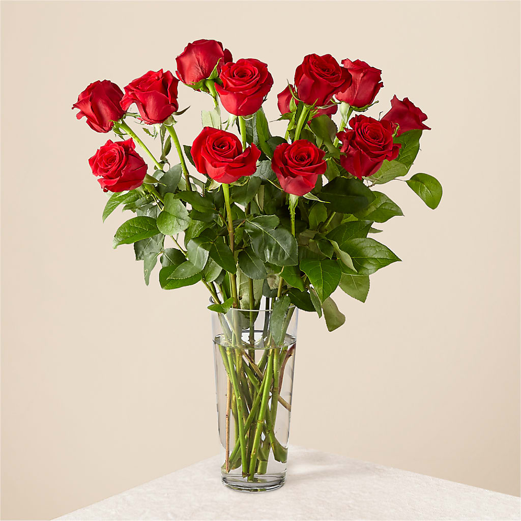 Long Stem Red Rose Bouquet – Floral Expressions, Auburn IL