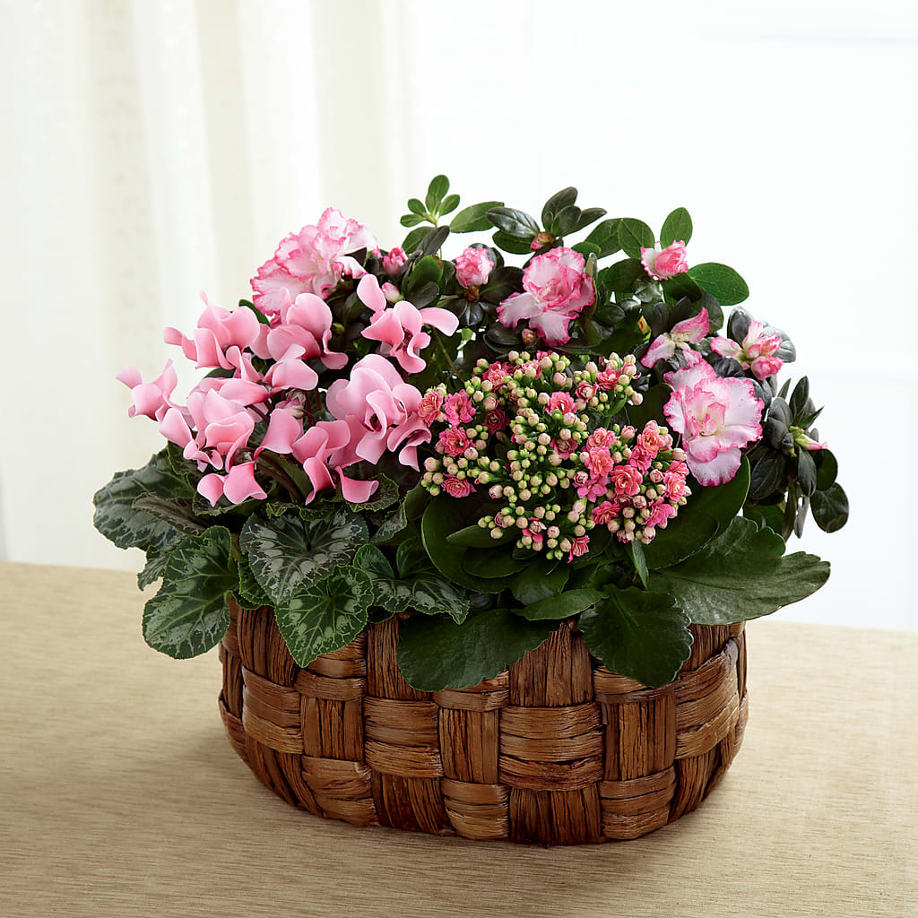 Pink Assortment – Floral Expressions, Auburn IL
