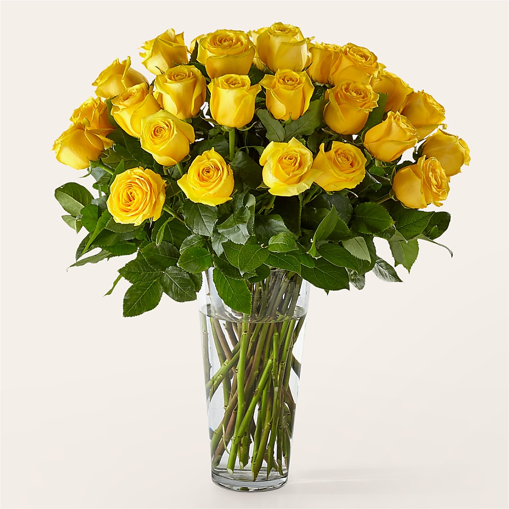 Long Stem Yellow Rose Bouquet – Floral Expressions, Auburn IL