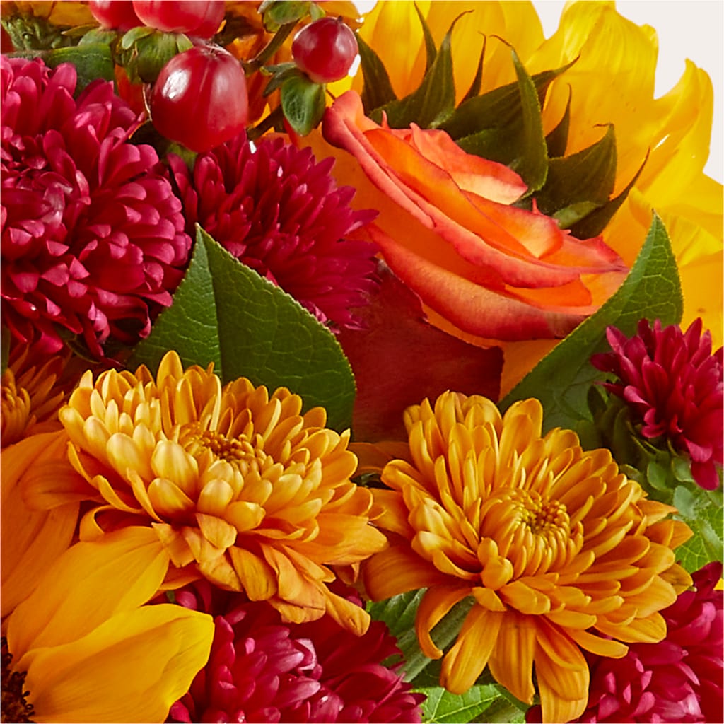 Sweater Season - A Florist Original – Floral Expressions, Auburn IL
