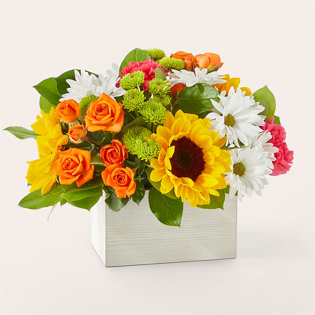 Sun-drenched Blooms Box Bouquet – Floral Expressions, Auburn IL