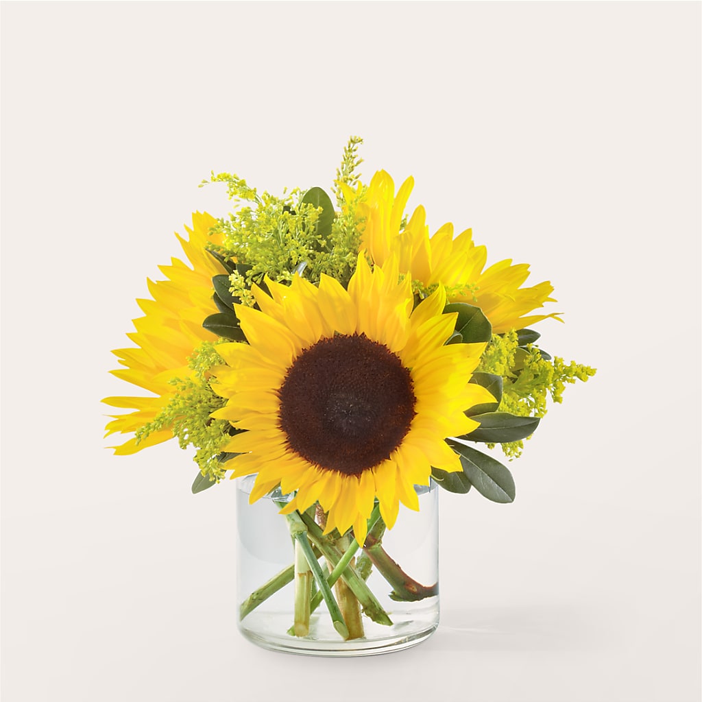 Beaming Sunflower Bouquet – Floral Expressions, Auburn IL