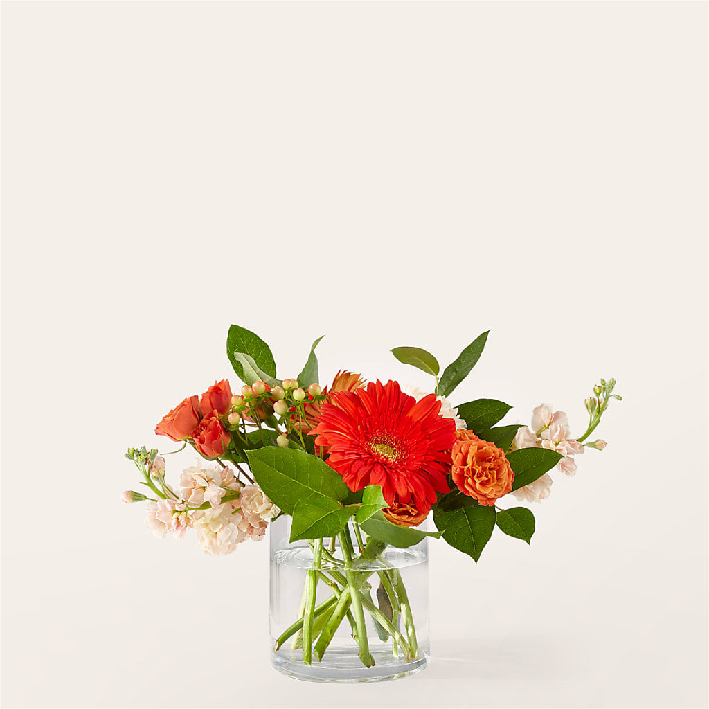 Paloma Please Bouquet – Floral Expressions, Auburn IL