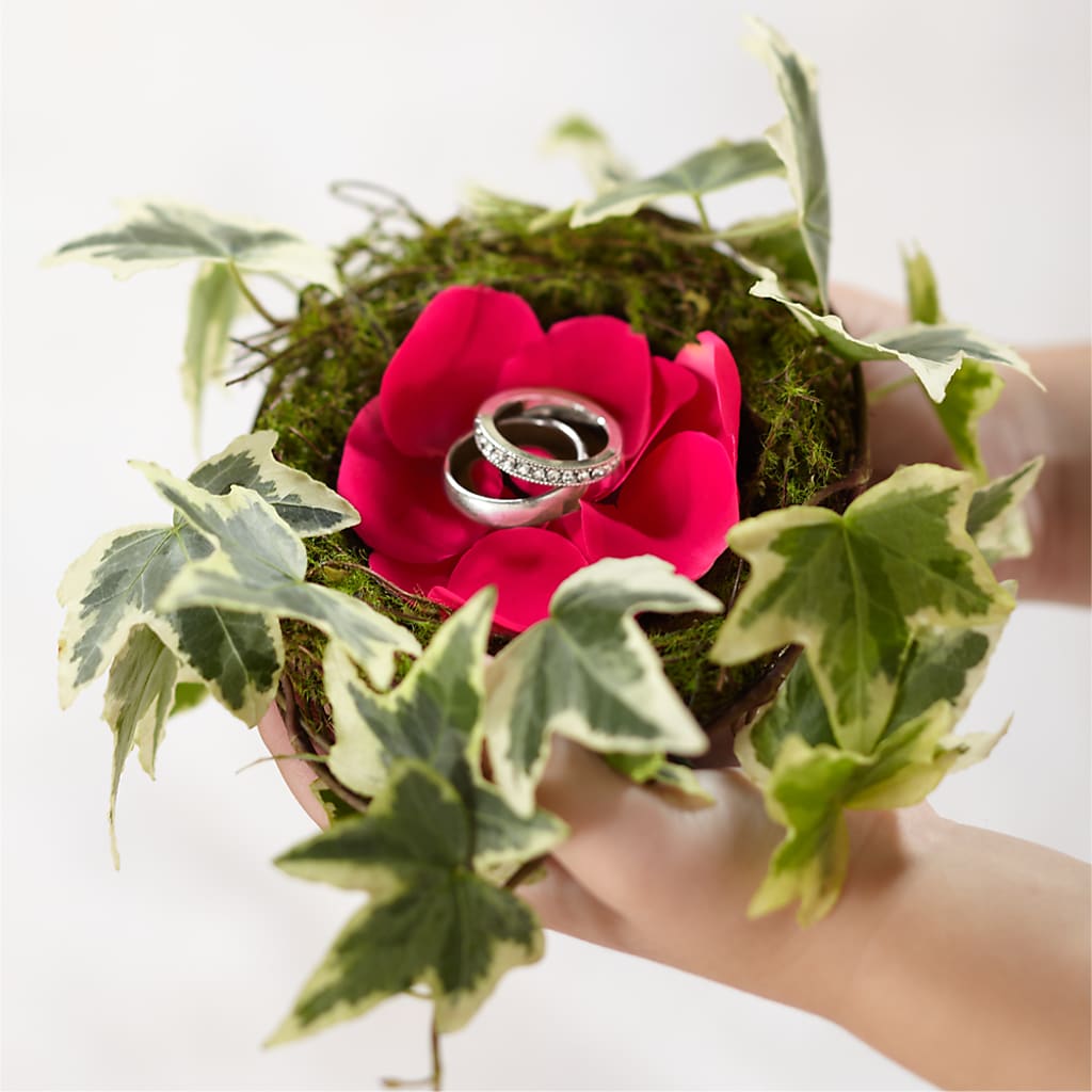 Lila Rose Ring Nest – Floral Expressions, Auburn IL