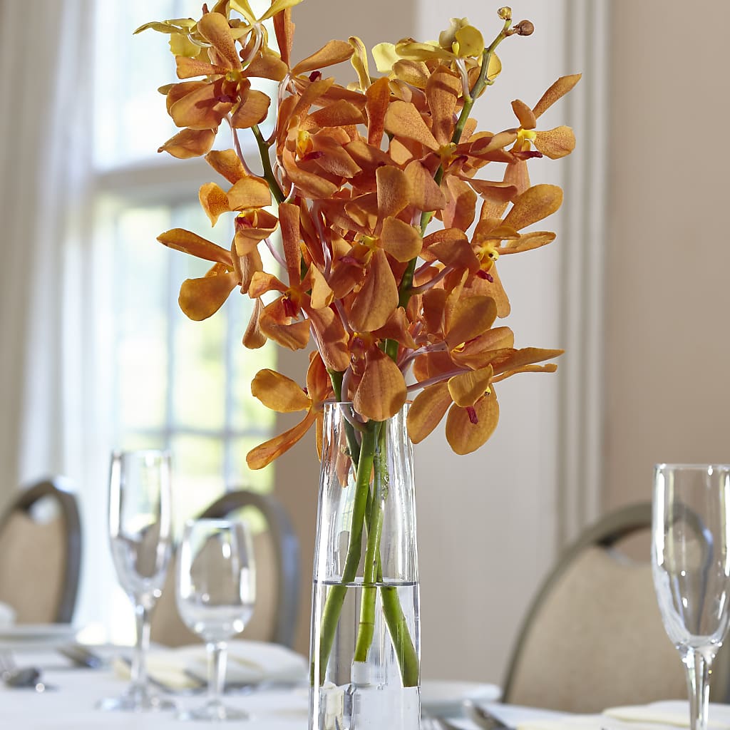 Orange Mokara Bud Vase – Floral Expressions, Auburn IL