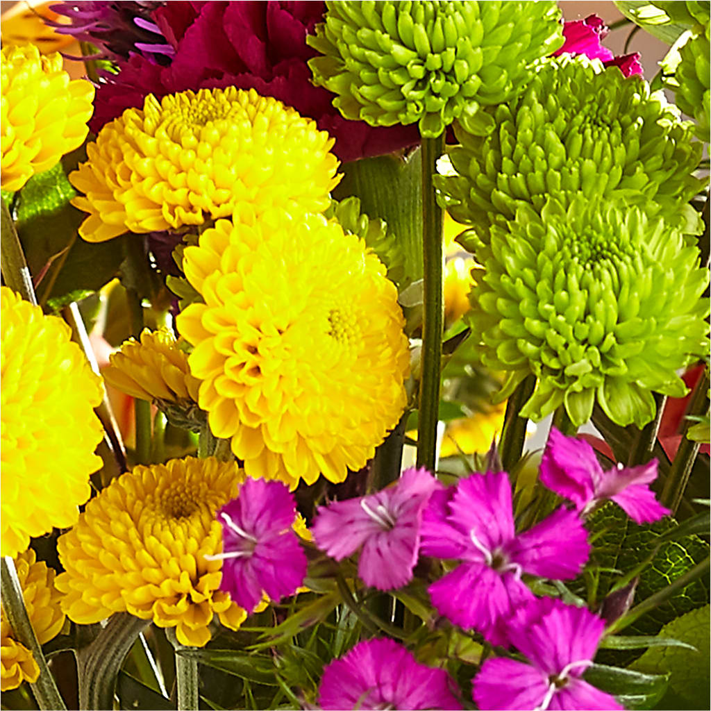 Bold & Bright – A Florist Original –  Floral Expressions, Auburn IL