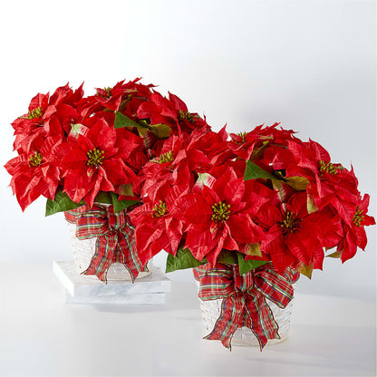 Happiest Holidays Poinsettia Bundle –  Floral Expressions, Auburn IL