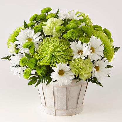 Lucky Charm Basket (Standard) –  Floral Expressions, Auburn IL