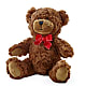 Adorable Plush Bear –  Floral Expressions, Auburn IL