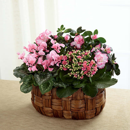 Pink Assortment –  Floral Expressions, Auburn IL