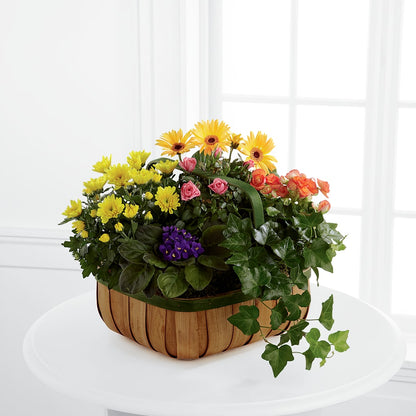 Gentle Blossoms Basket –  Floral Expressions, Auburn IL