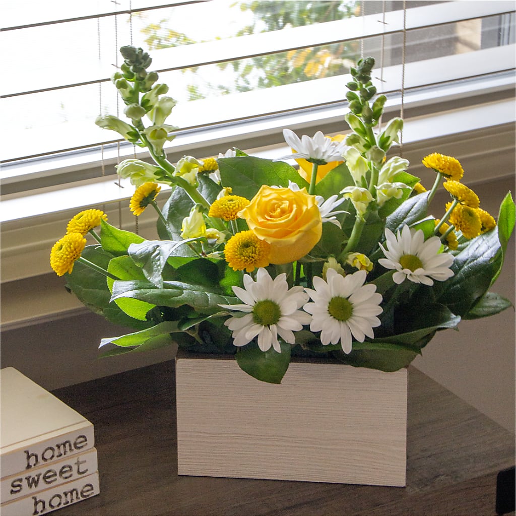 Sun Salutation Box Bouquet –  Floral Expressions, Auburn IL