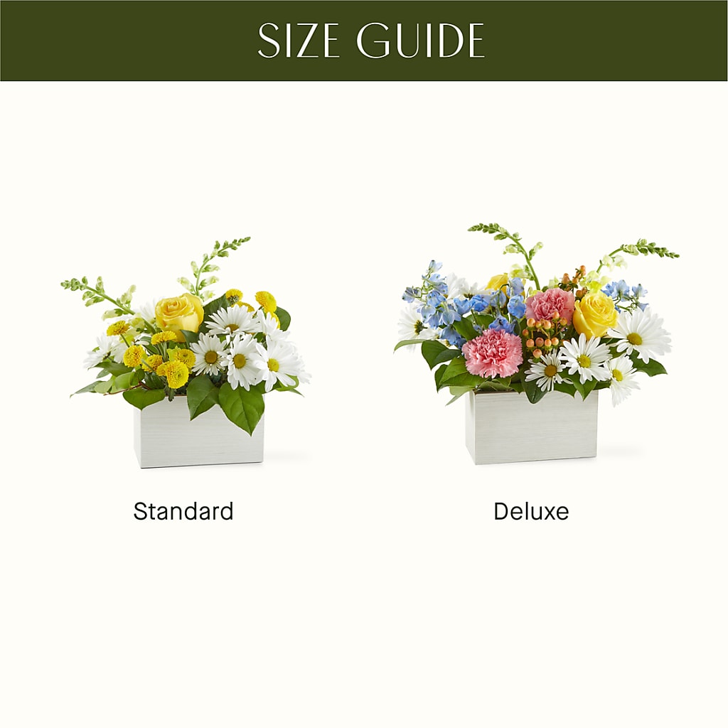 Sun Salutation Box Bouquet –  Floral Expressions, Auburn IL