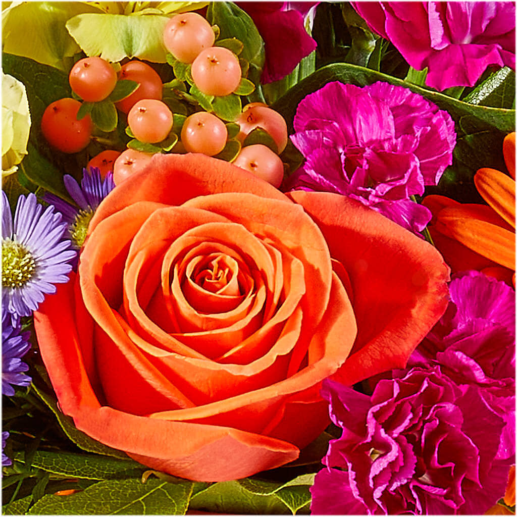 Tricks & Treats Pumpkin –  Floral Expressions, Auburn IL