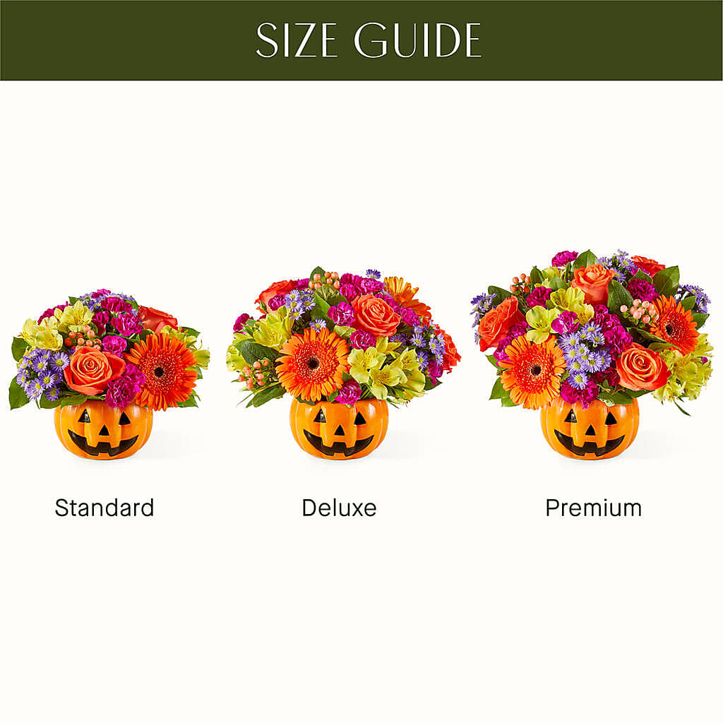 Tricks & Treats Pumpkin –  Floral Expressions, Auburn IL