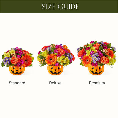 Tricks & Treats Pumpkin –  Floral Expressions, Auburn IL