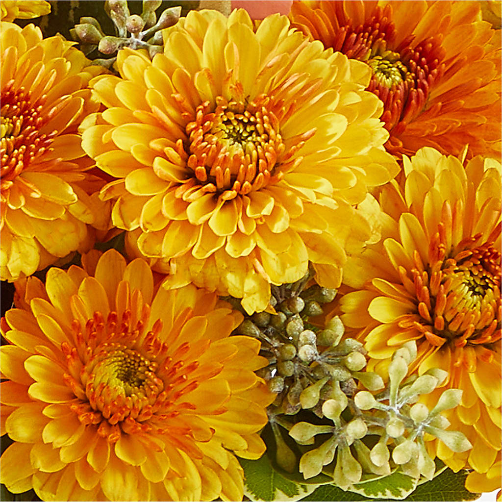 Peachy Pumpkin –  Floral Expressions, Auburn IL