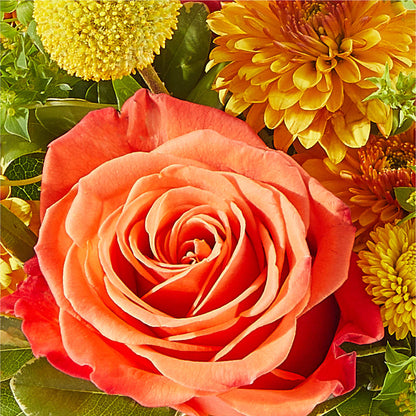 Gourdgeous Pumpkin –  Floral Expressions, Auburn IL
