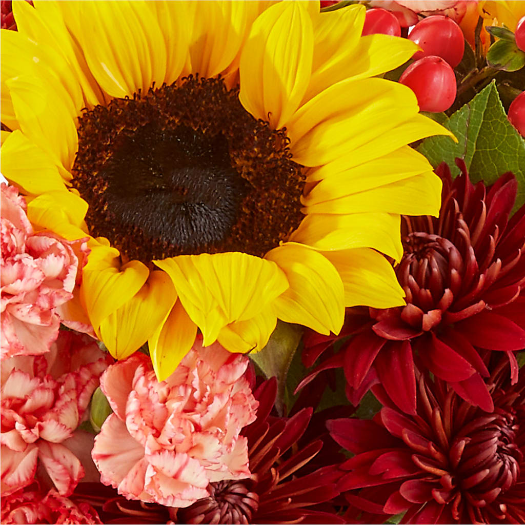 Fresh Cider Bouquet –  Floral Expressions, Auburn IL