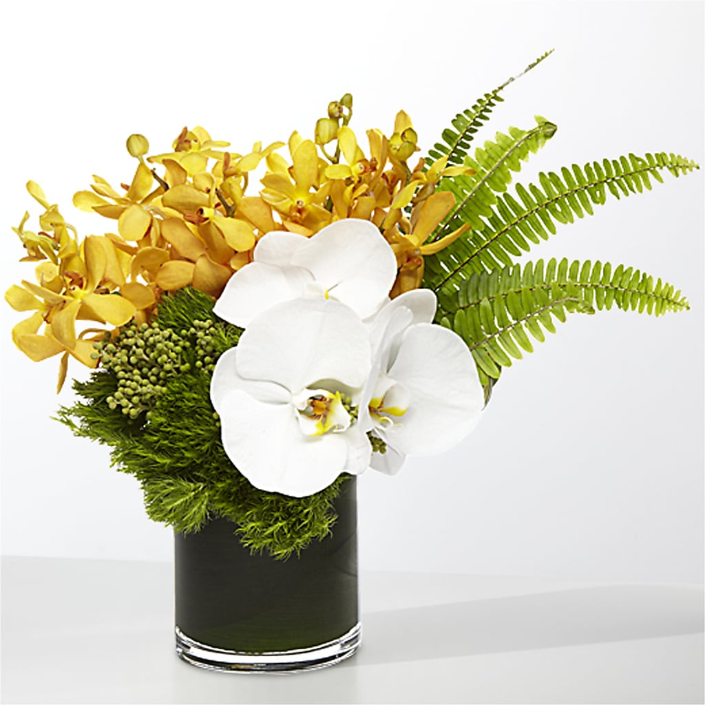 The Tropics –  Floral Expressions, Auburn IL