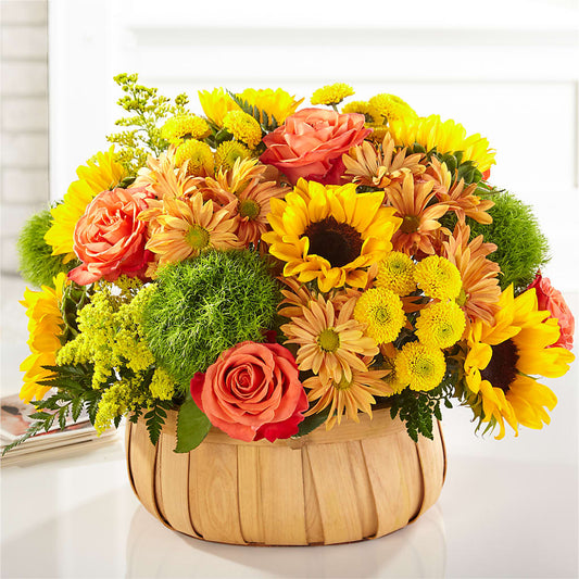Harvest Sunflower Basket –  Floral Expressions, Auburn IL