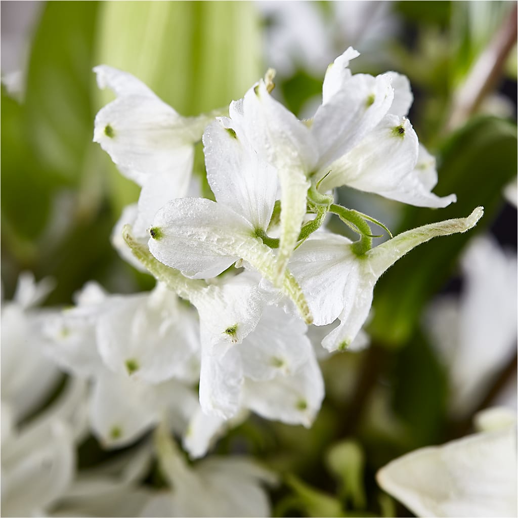 Classic Ivory – A Florist Original –  Floral Expressions, Auburn IL