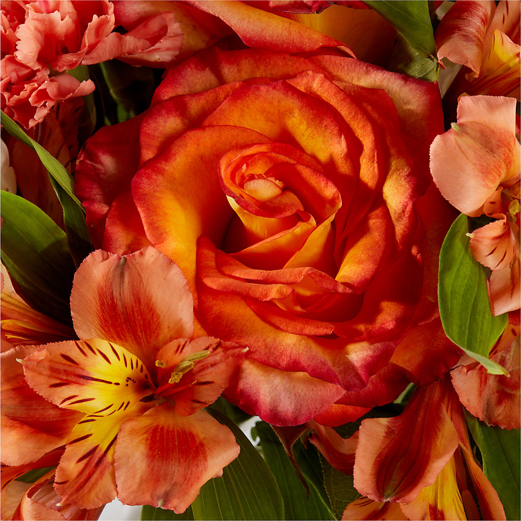 Apricot Glow Bouquet –  Floral Expressions, Auburn IL