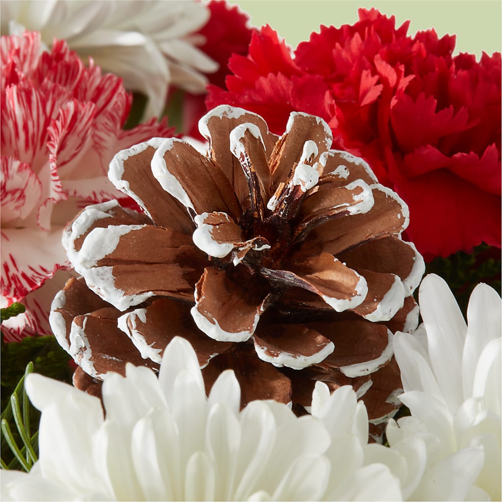Candy Cane Lane Bouquet –  Floral Expressions, Auburn IL