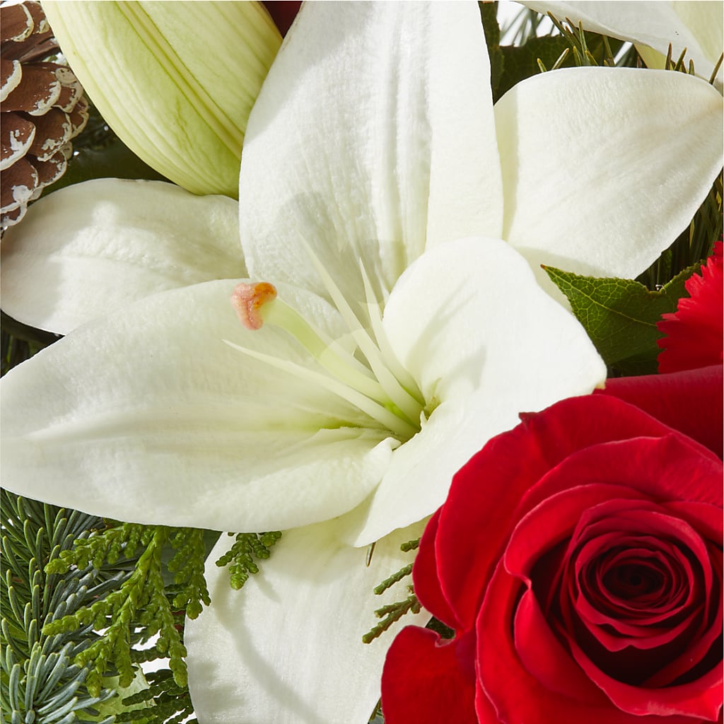 Oh So Jolly Bouquet –  Floral Expressions, Auburn IL