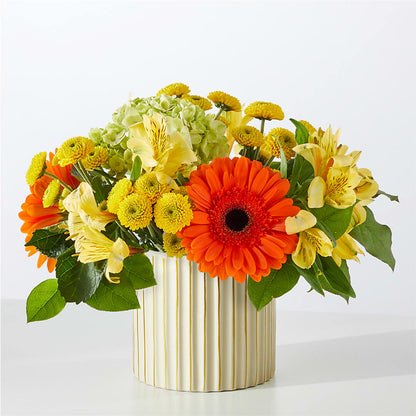 Autumn Sunshine Bouquet with Ivory Vase –  Floral Expressions, Auburn IL