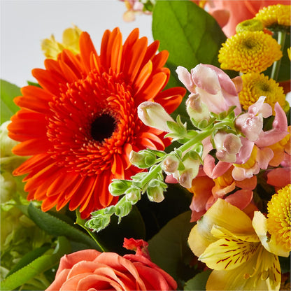 Autumn Sunshine Bouquet –  Floral Expressions, Auburn IL