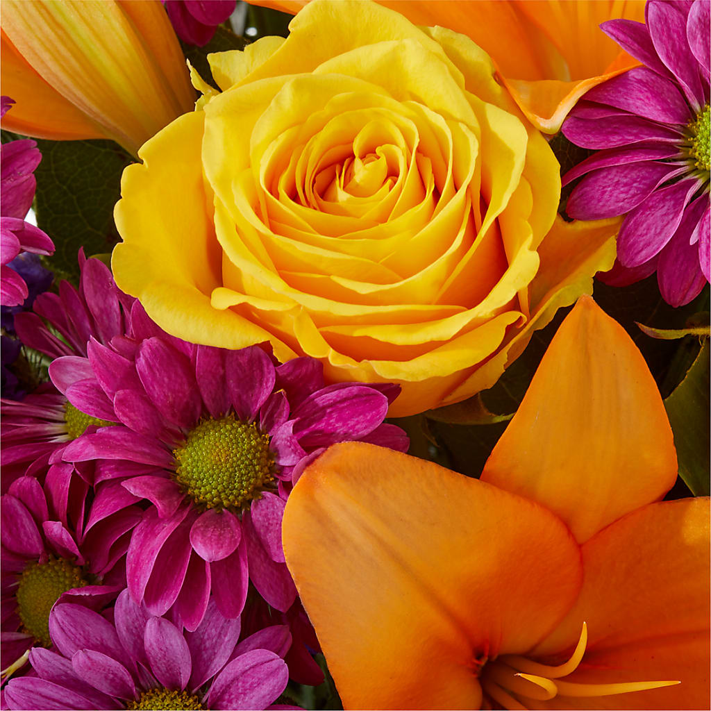 Colorful Visions Bouquet –  Floral Expressions, Auburn IL