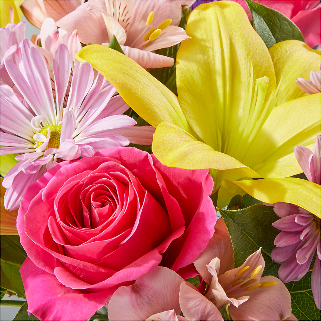 Sprinkles Bouquet –  Floral Expressions, Auburn IL