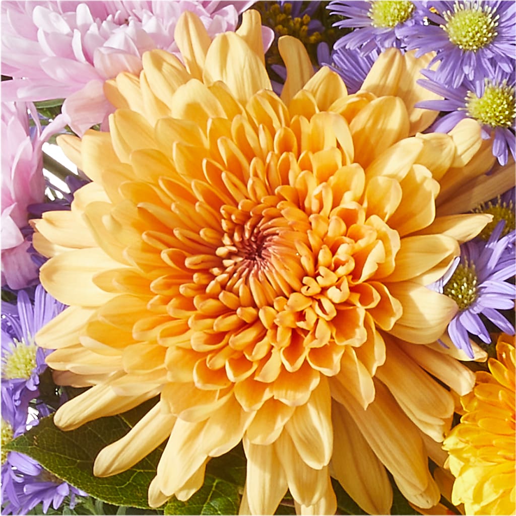 Countryside Bouquet –  Floral Expressions, Auburn IL