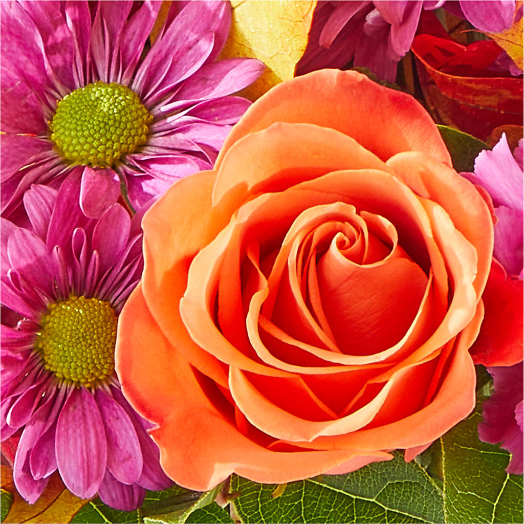 Mum's the Word Bouquet –  Floral Expressions, Auburn IL