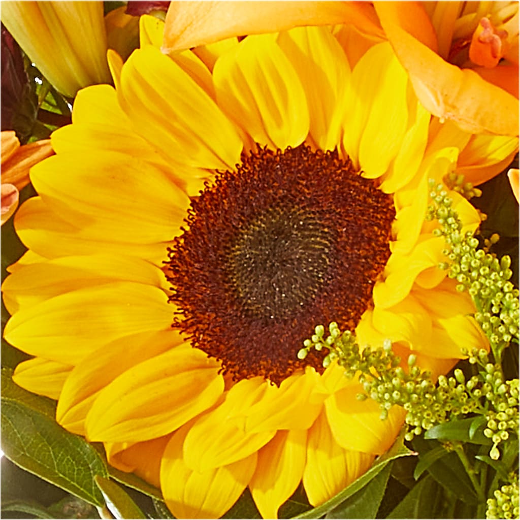 Seasons Change Bouquet –  Floral Expressions, Auburn IL