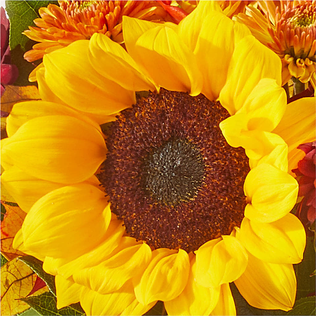 Sunny Side Bouquet –  Floral Expressions, Auburn IL