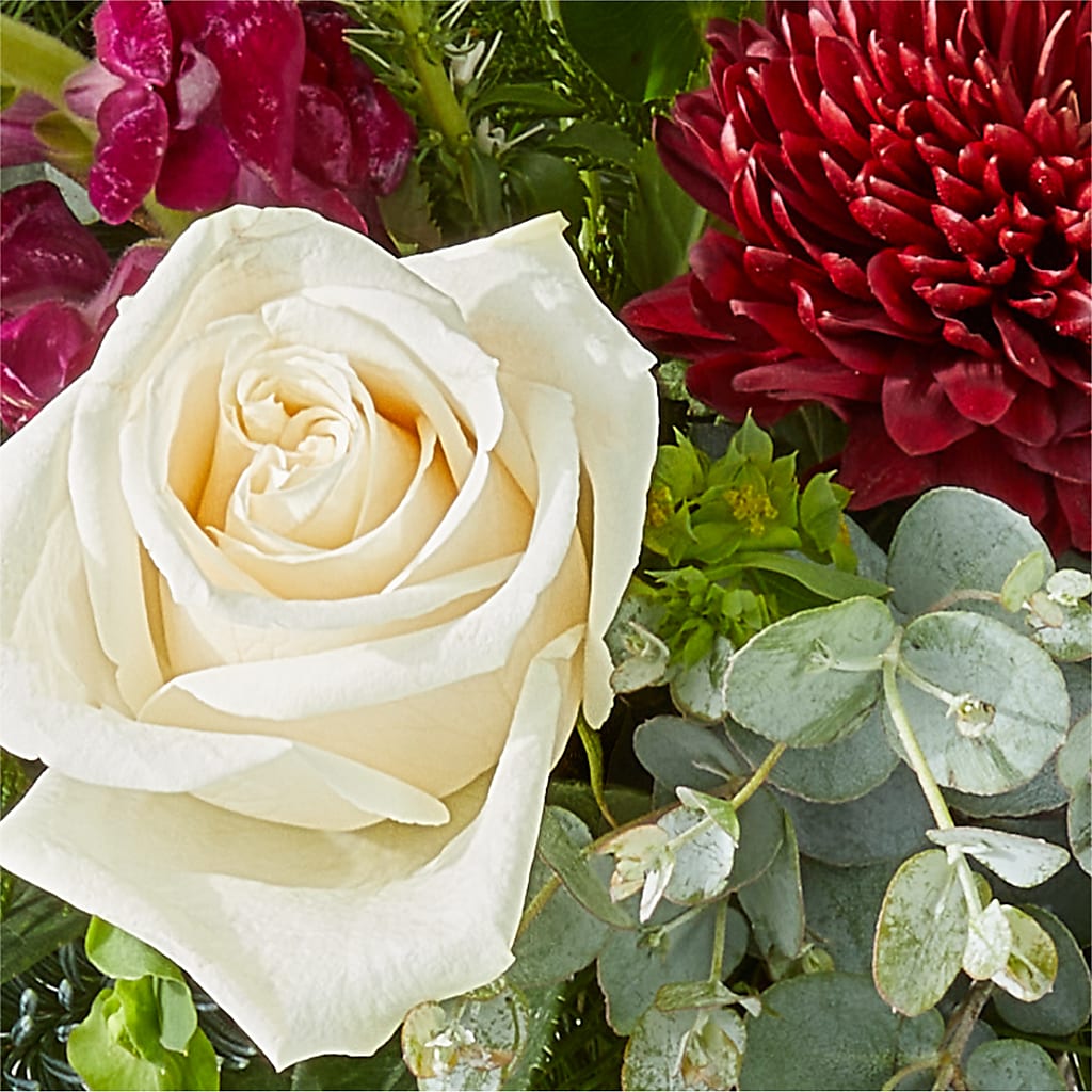 Cranberry Fizz Bouquet –  Floral Expressions, Auburn IL