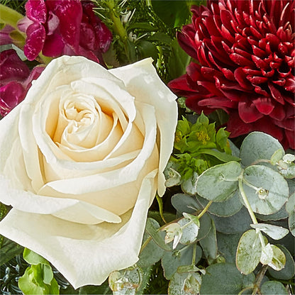 Cranberry Fizz Bouquet –  Floral Expressions, Auburn IL