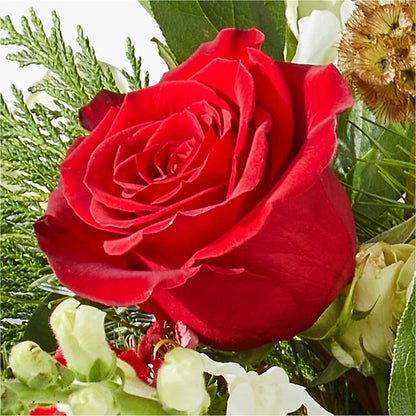 Deck the Halls Bouquet –  Floral Expressions, Auburn IL