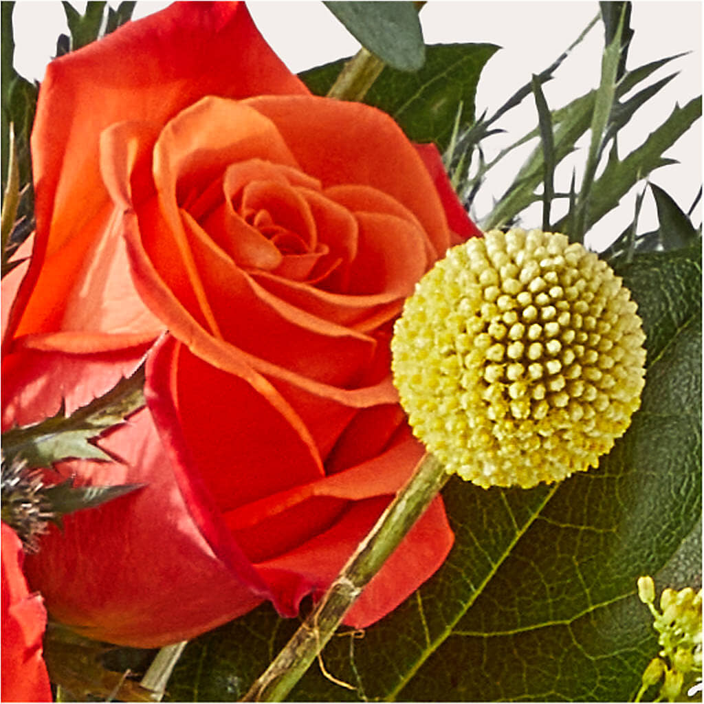 Disco Bouquet –  Floral Expressions, Auburn IL