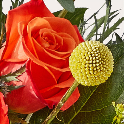 Disco Bouquet –  Floral Expressions, Auburn IL
