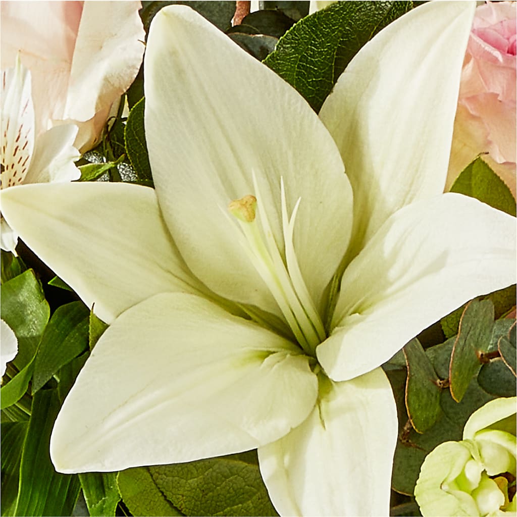 Ballet Slippers Bouquet –  Floral Expressions, Auburn IL