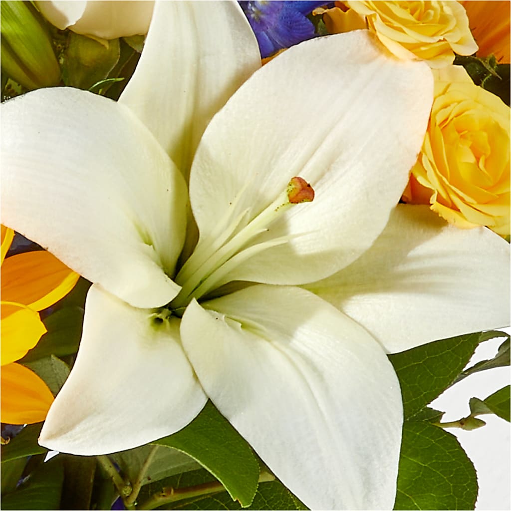 Wonderfully Sunny Bouquet –  Floral Expressions, Auburn IL