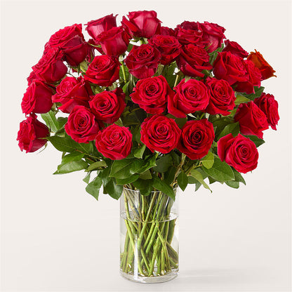 The One Red Rose Bouquet –  Floral Expressions, Auburn IL