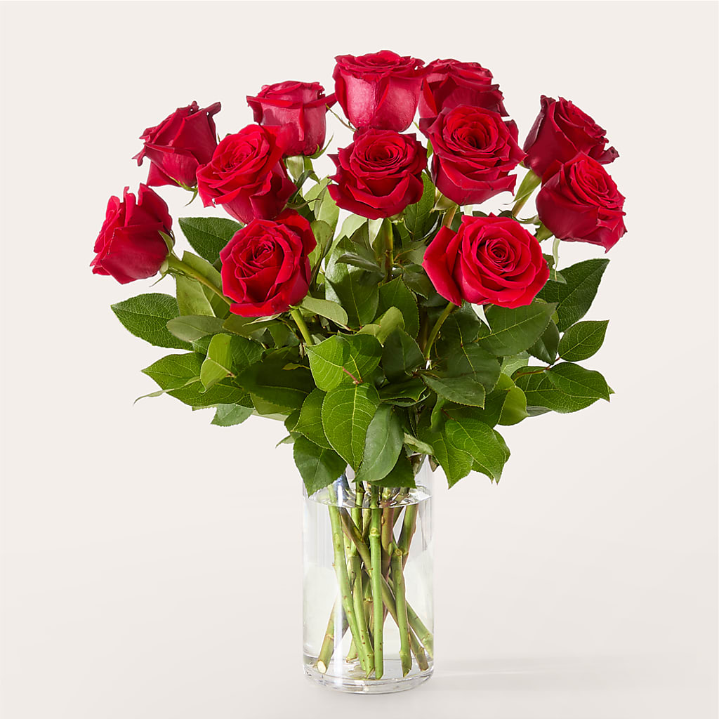 The One Red Rose Bouquet –  Floral Expressions, Auburn IL