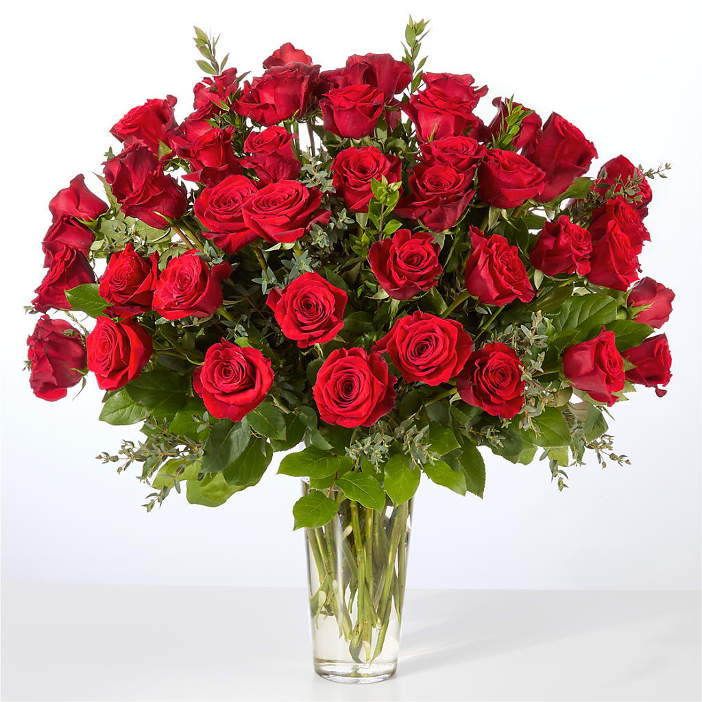 Forever Yours Fifty Stem Red Rose Bouquet –  Floral Expressions, Auburn IL