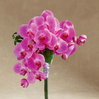 Glorious Bouquet –  Floral Expressions, Auburn IL