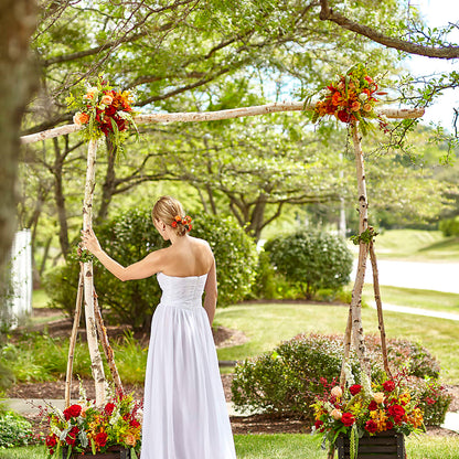 Arbor of Love Archway –  Floral Expressions, Auburn IL