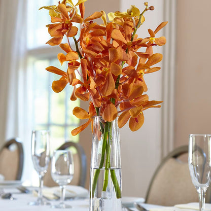 Orange Mokara Bud Vase –  Floral Expressions, Auburn IL